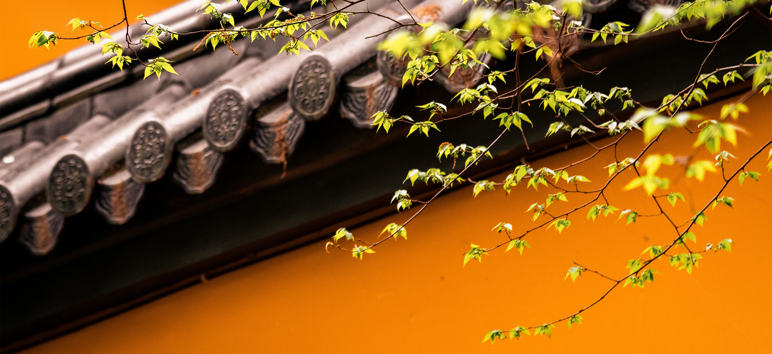 清朝历史之清代宗教概述